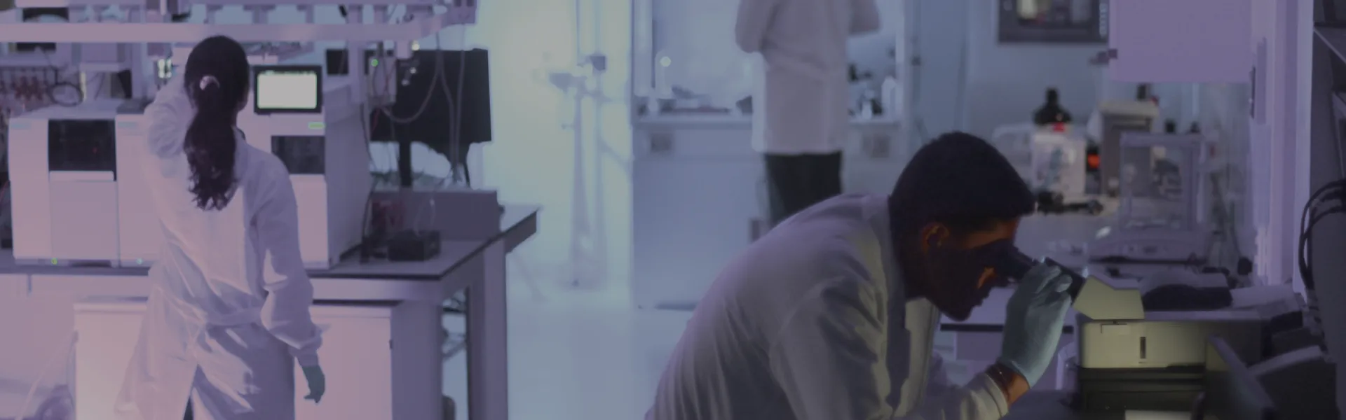 Equipo Administrativo