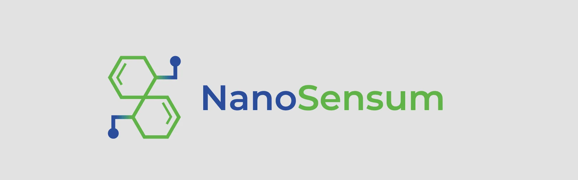 Nanosensum 
