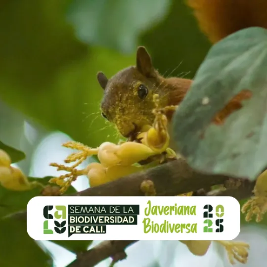 Javeriana Biodiversa 2025 Javeriana Biodiversa 2025