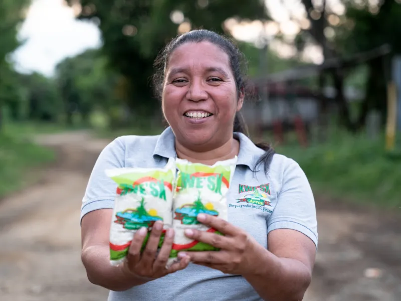 autonomía económica territorial 