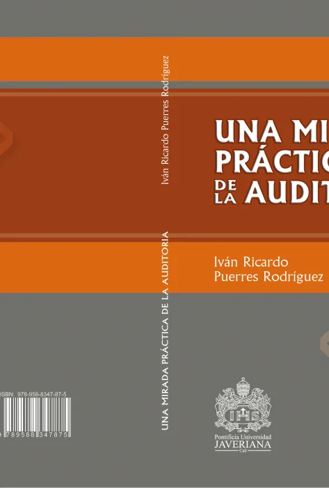 Una mirada práctica de la auditoría